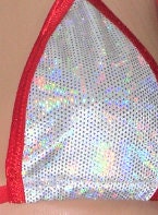 Mini Micro Bikini with Choice of G-String and RHINESTONES! White Holographic Velvet with red trim S/M - Image 4